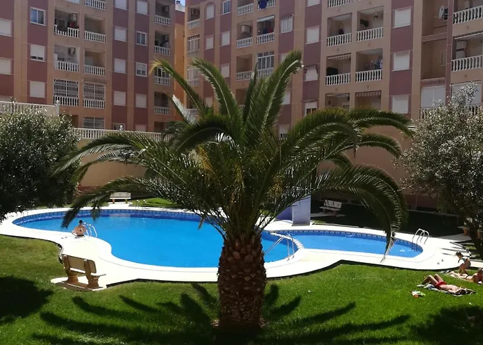 Bonito Apartamento En Torrevieja